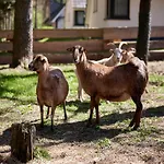 בית נופש Ferienhaeuser Im Naturresort Drewitz